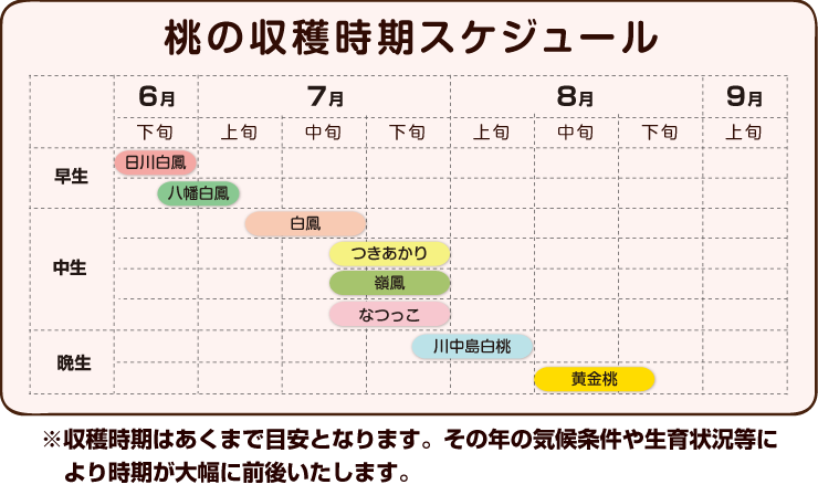 桃の旬の時期一覧