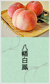 八幡白鳳