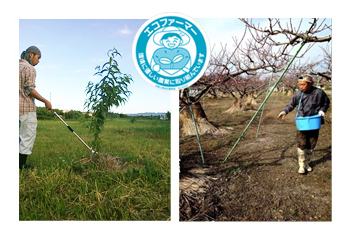 エコファーマー認定農家