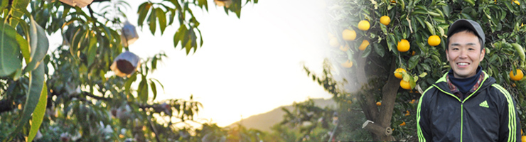 まごころ農園概要